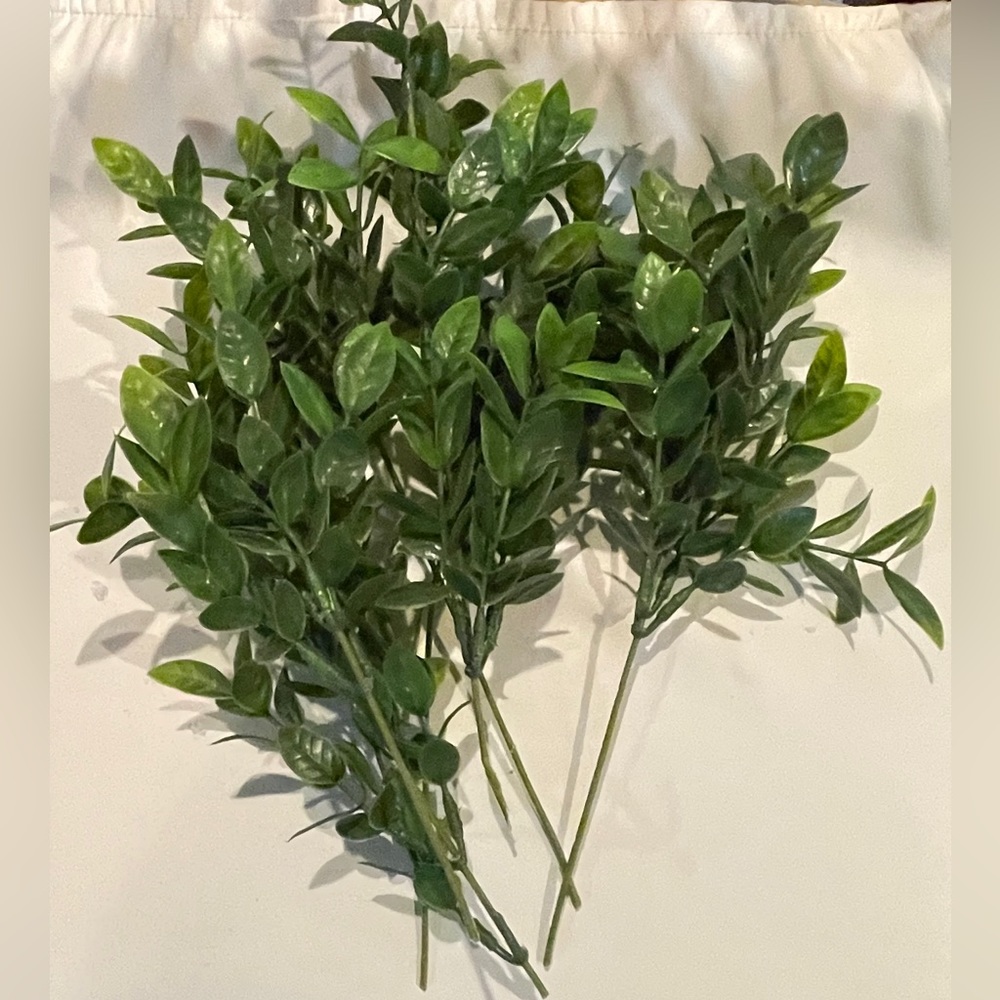 Greenery for arrangements